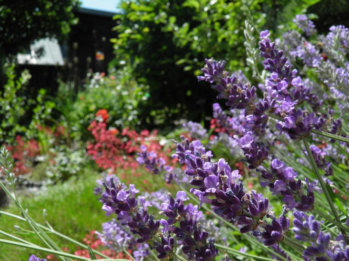 B&B Brandholz Goldkronach Екстер'єр фото